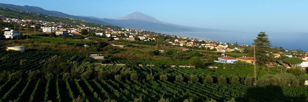 Stunning Views At Tenerife Tacoronte Bagian luar foto